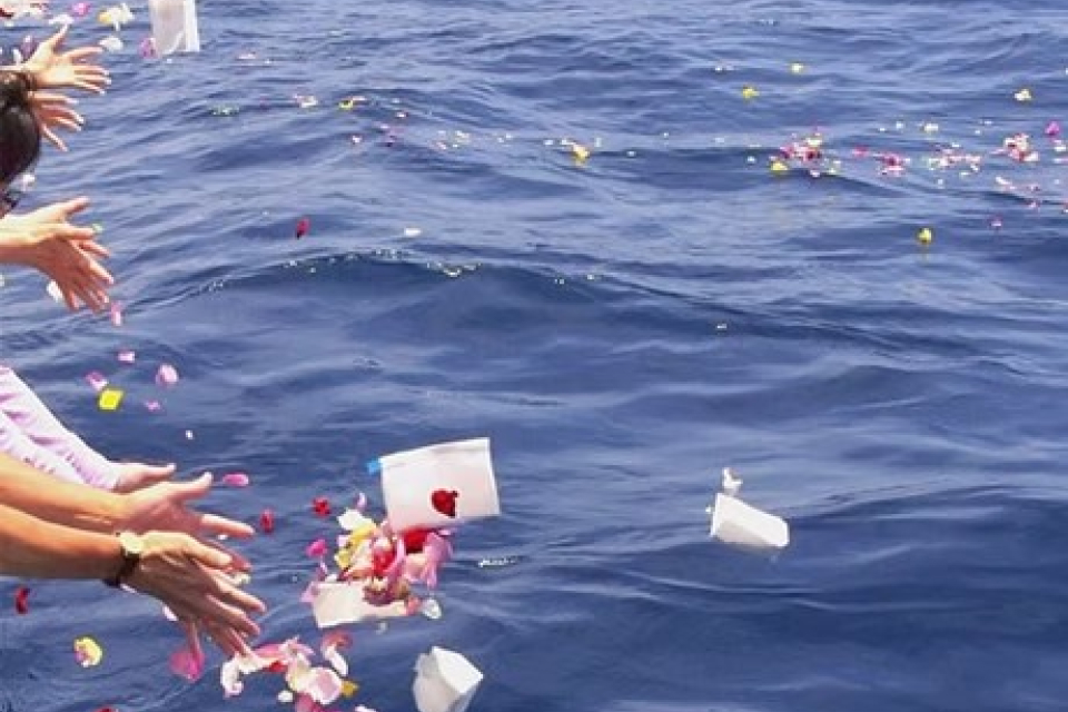 吹田市の葬儀社である家族葬みかづきの海洋散骨の画像